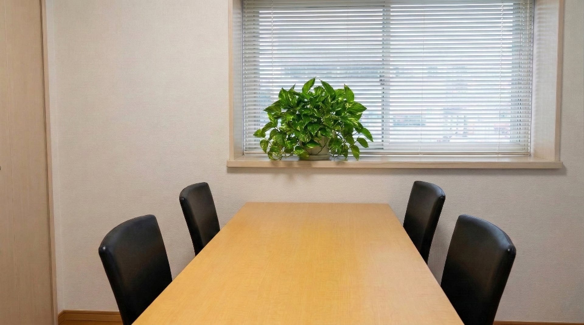 法律相談室の様子。窓際に植物が置かれた明るい相談室。